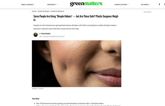 Greenmatters article printscreen